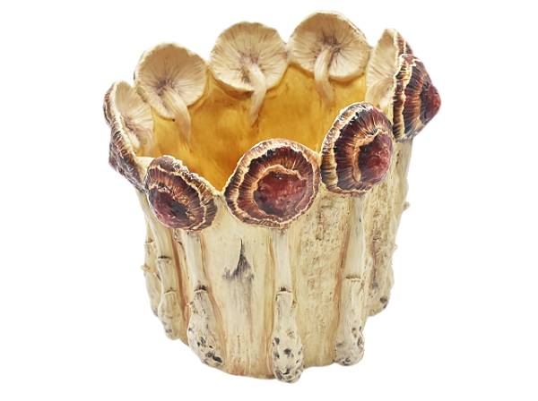 Vaso tronco com cogumelos