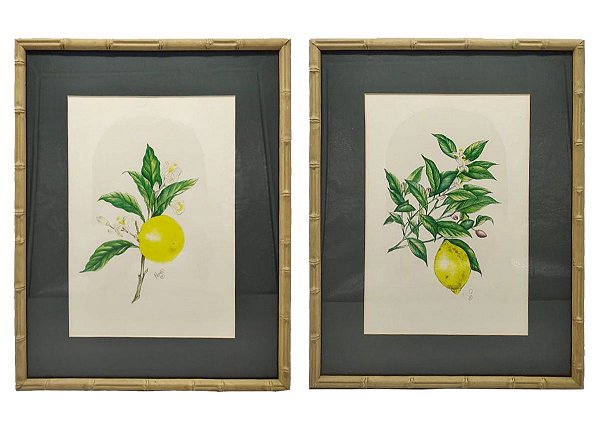 Dupla de quadros limão siciliano