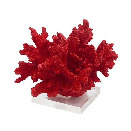 Coral vermelho P