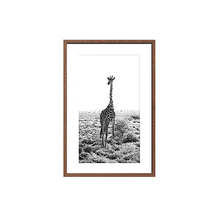 Quadro foto girafa preto e branco