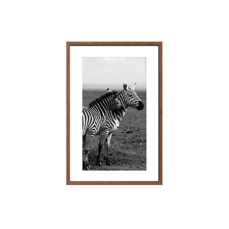 Quadro foto zebras preto e branco 2