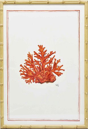 Quadro coral moldura faux bamboo 1