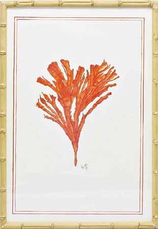 Quadro coral moldura faux bamboo 2