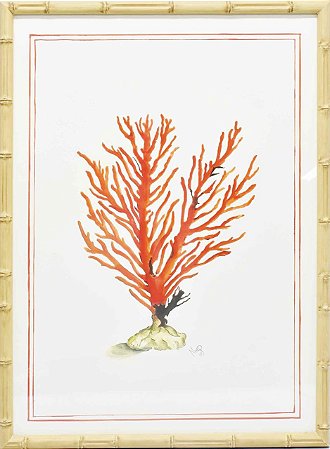 Quadro coral moldura faux bamboo 3