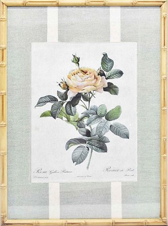 Quadro gravura de rosas com moldura de faux bamboo fundo listra 4