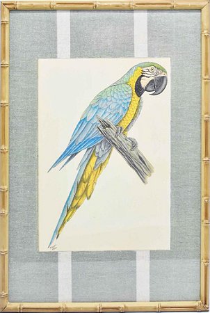 Quadro gravura pássaro com moldura de faux bamboo fundo listra 1
