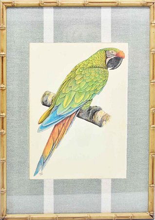 Quadro gravura pássaro com moldura de faux bamboo fundo listra 4