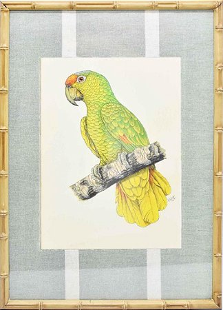 Quadro gravura pássaro com moldura de faux bamboo fundo listra 7