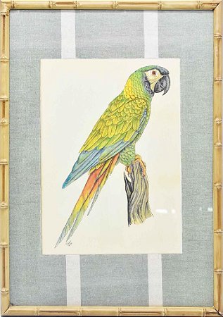 Quadro gravura pássaro com moldura de faux bamboo fundo listra 8
