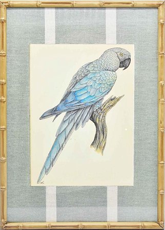Quadro gravura pássaro com moldura de faux bamboo fundo listra 9
