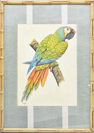 Quadro gravura pássaro com moldura de faux bamboo fundo listra 11
