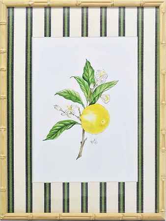 Quadro Limão Siciliano 6 Zanatta Casa