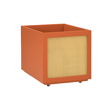 CAIXA ORGANIZADORA LACA COM PALHA