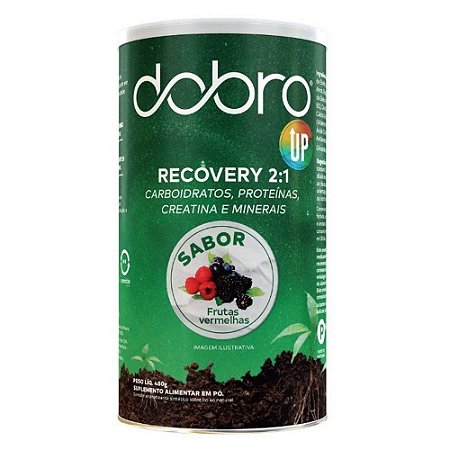 Recovery Up 2:1 Com Creatina Frutas Vermelhas 480g - Dobro