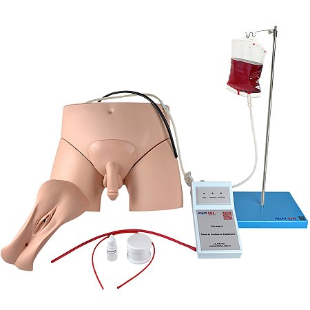 Simulador de Cateterismo Vesical e Lavagem Intestinal, Bissexual, com Dispositivo de Controle