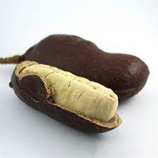JATOBA FRUTO 100G