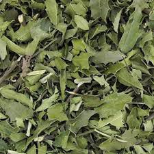 CHA ESPINHEIRA SANTA 50G MAYTENUS ILICIFOLIA