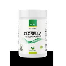 CLORELLA CHLORELLA E B12 60 CAPSULA 300 MG VITAL NATUS