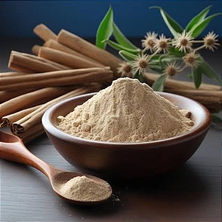 ASHWAGANDHA GINSENG INDIANO EM PO 100G