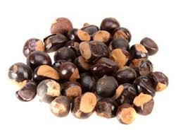 GUARANA EM GRAOS DESIDRATADOS 100G