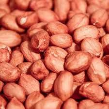 AMENDOIM RUNNER GRAO CRU COM PELE 100G