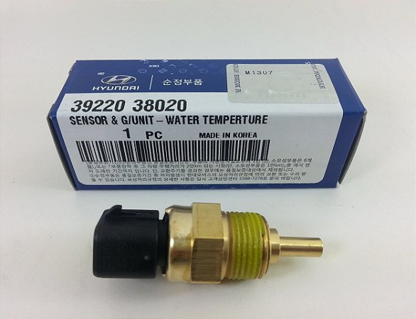 Sensor De Temperatura Externa Da Água Original Hyundai I30 2.0 I30 Cw 2.0 3922038020