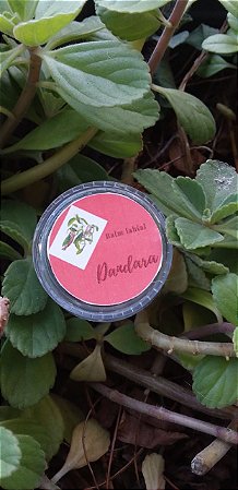 Protetor Labial Dandara