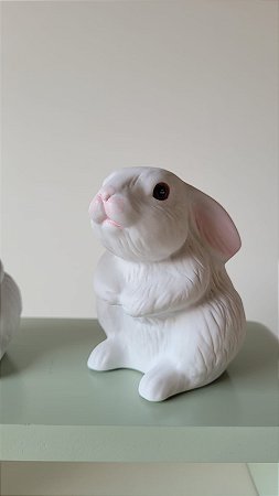 Coelho Delicado Branco Fosco