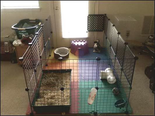 Cercado Retangular - Mod. Quichy