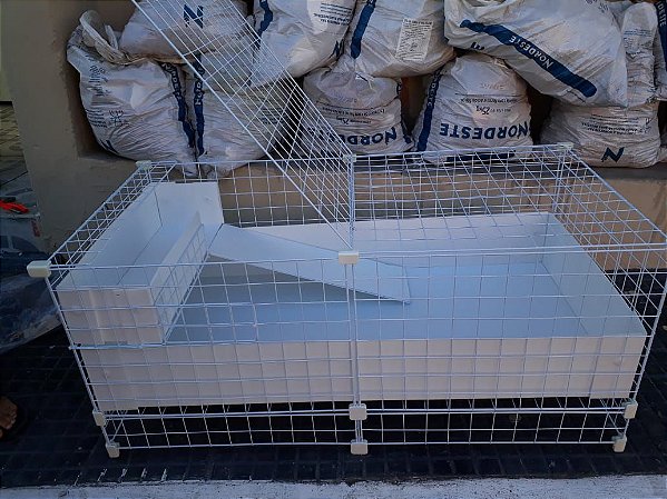 Cercado Porquinho da India com Porta Articulavél