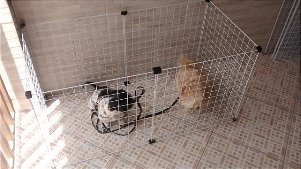 Cercado de 06 Módulos -Mod. Lilica