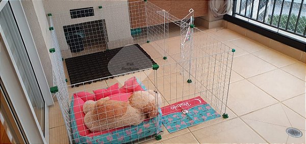 Cercado 10 módulos c/ porta articulada - Mod. Barbie