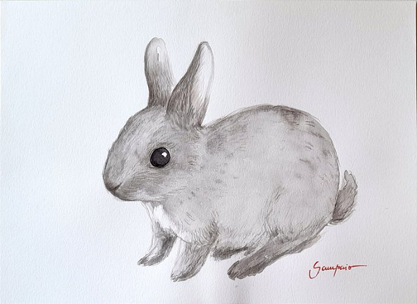 Coelho Cinza Filhote - aquarela
