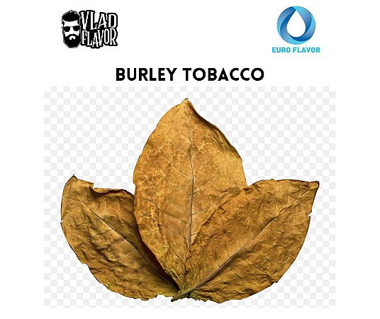 Burley tobacco 10ml | EF