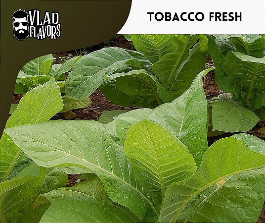 Tobacco Fresh 10ml | VF ðŸ�‚