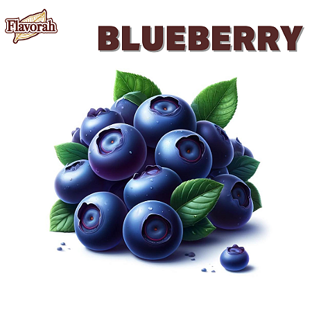 Blueberry | FLV