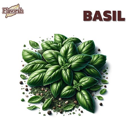 Basil | FLV