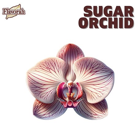 Sugar Orchid | FLV