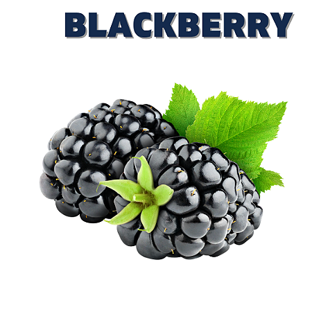 Blackberry 10ml | TPA