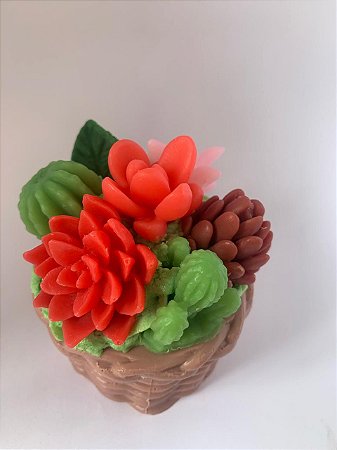 Vaso de Suculentas - Tom vermelho