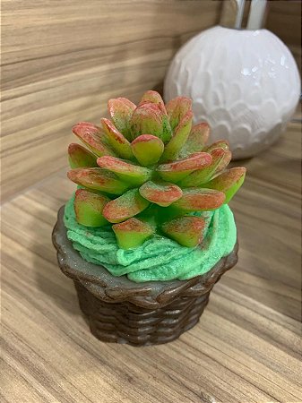 Vaso de suculenta modelo 2