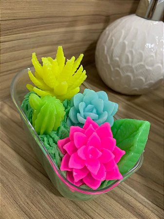 Banheira de suculentas modelo 2