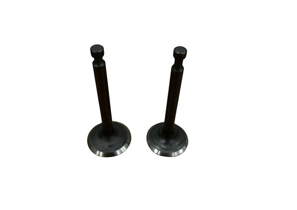 Kit Válvula Admissão E Escape Para Motor Gasolina Toyama 5.5hp 6.5hp