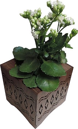 Vaso Cachepot de Madeira Afro 15x15x15cm