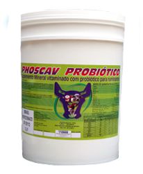 Phoscav Probiótico 05kg