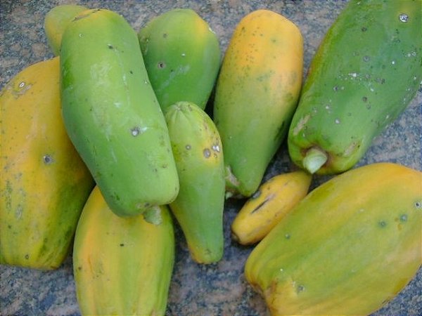 Mamão Orgânico (uni)