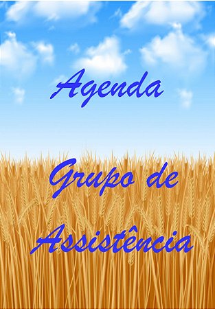 Agenda Grupo de Assistência