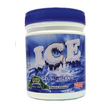GEL ICE 220G FLORA PURA