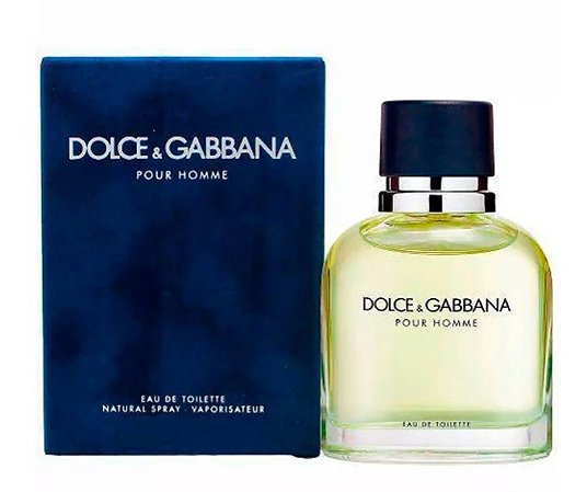 Dolce Gabbana Pour Homme EDT Perfume Masculino - Empório do Aroma Cosméticos