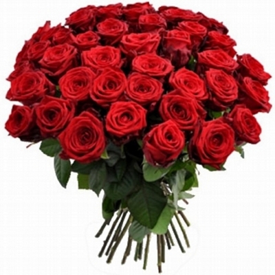 Buquer com 5 duzias de rosas